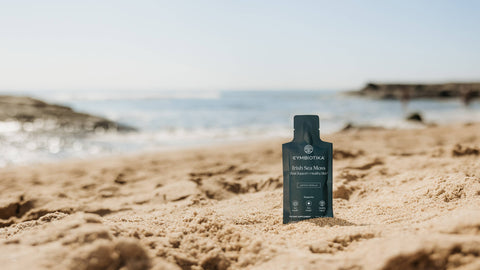 Irish Sea Moss