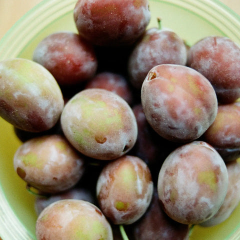 Artisanal Plum Jam