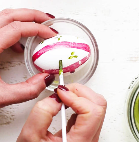 Natural Easter Egg Paint Set-Plant Based Colors
