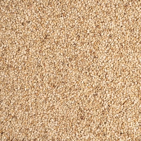 Raw Sesame Seeds - 1 LB - 12 Per Case