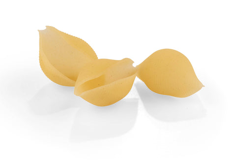 Gluten Free Conchiglioni