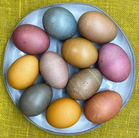 Natural Easter Egg Coloring Kit-Plant Based Colors