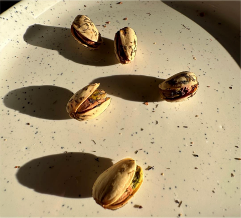 Joon Dill Pickle Pistachios | Pistachio Nut Gourmet Snacks