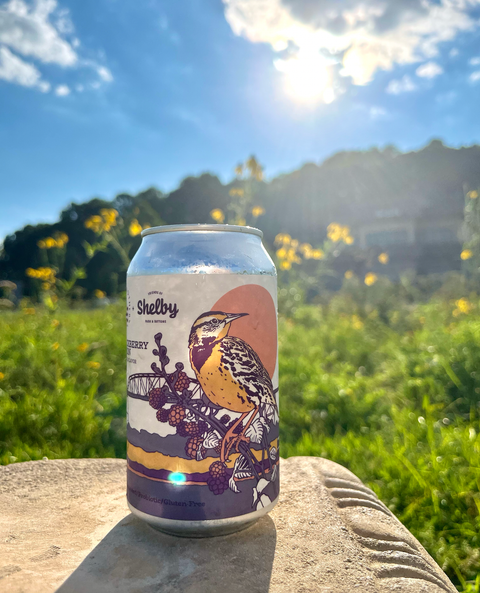 Blackberry Lemonade | Shelby Park + Bottoms Collaboration