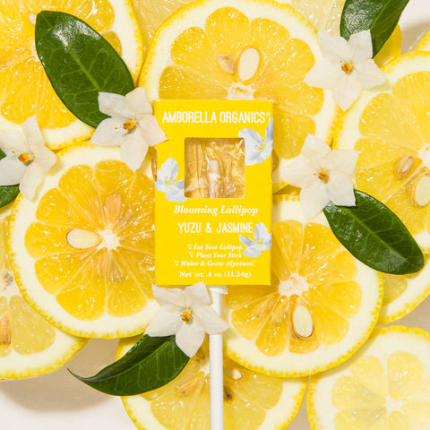 Amborella Organics Yuzu & Jasmine Lollipop