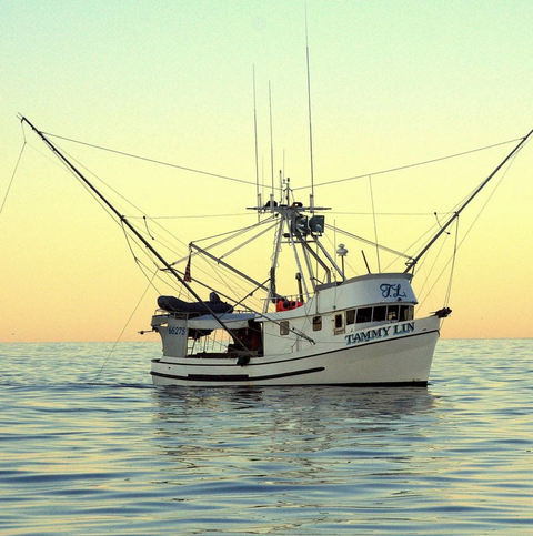 Wild Caught Alaskan Pacific Cod