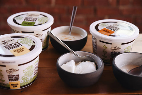 Only Ewe Sheep's Milk Yogurt - Maple 16 oz