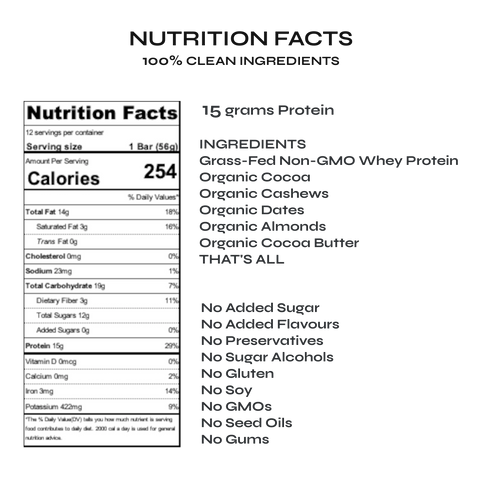 Chocolate Protein Bar