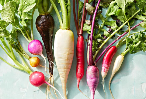 Fernan Hill Farms Radishes